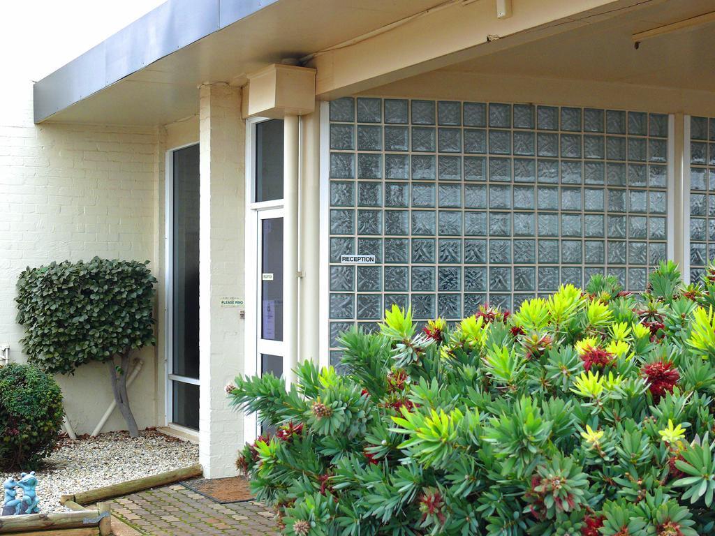 Charles Sturt Motor Inn West Wyalong Eksteriør billede